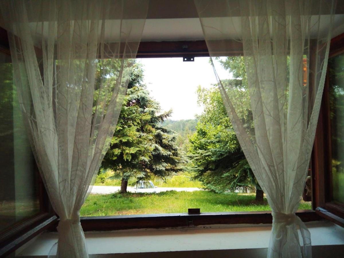 Villa Mansion Tara Sljivovica  Exterior foto