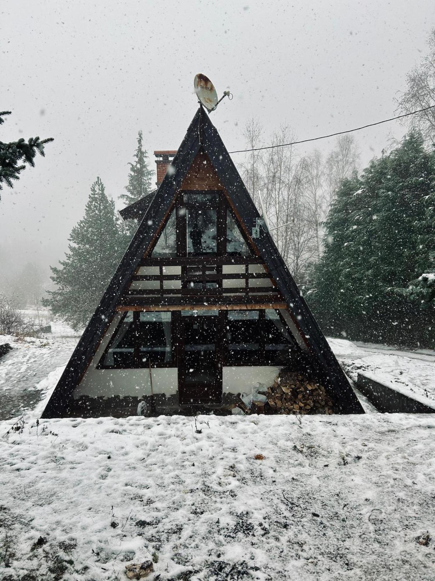 Villa Mansion Tara Sljivovica  Exterior foto